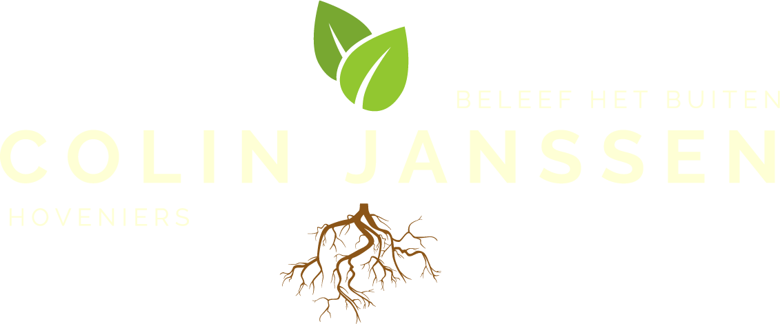 logo2