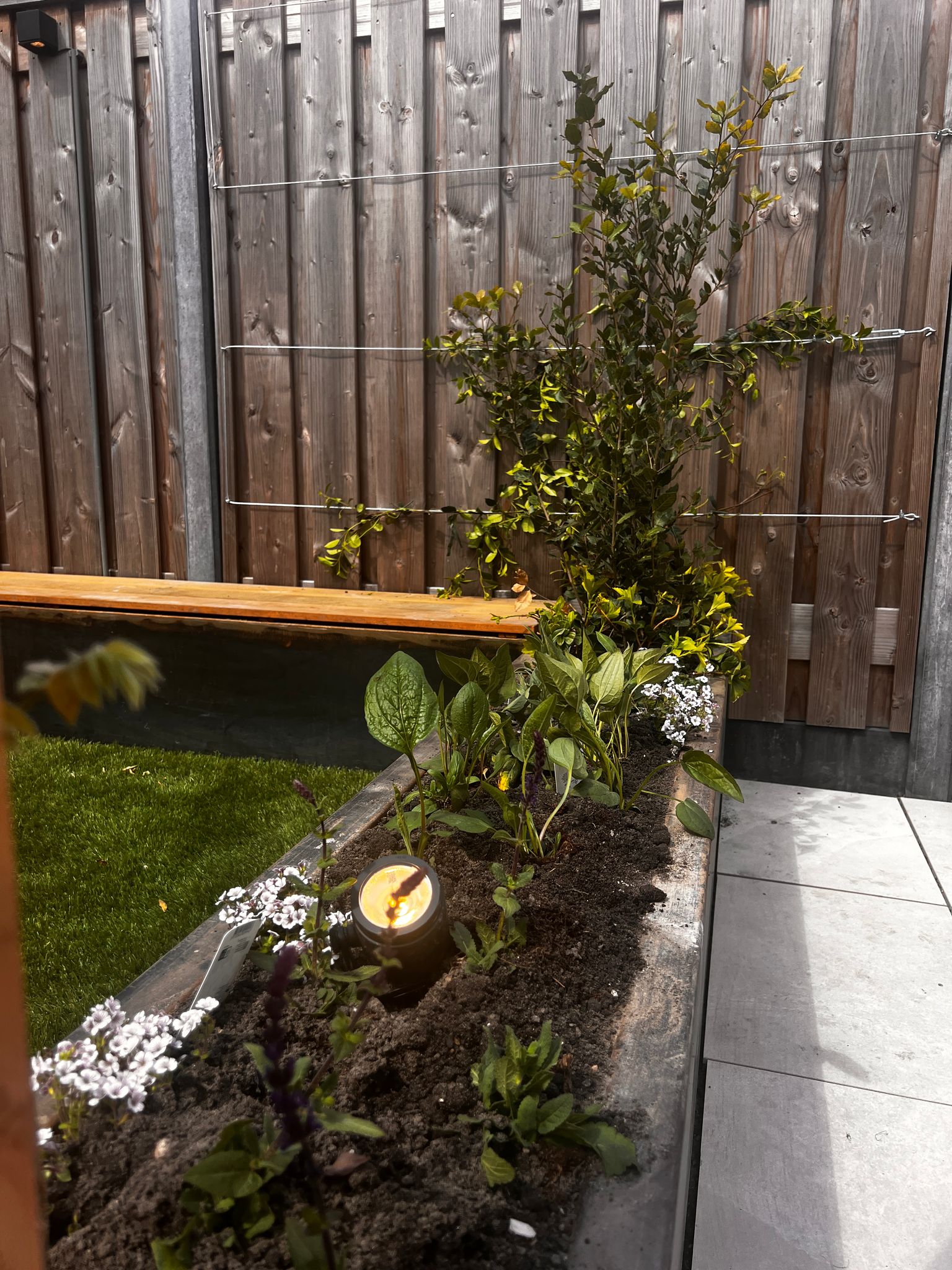 tuin15