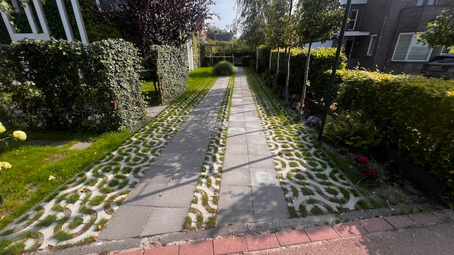 tuin1