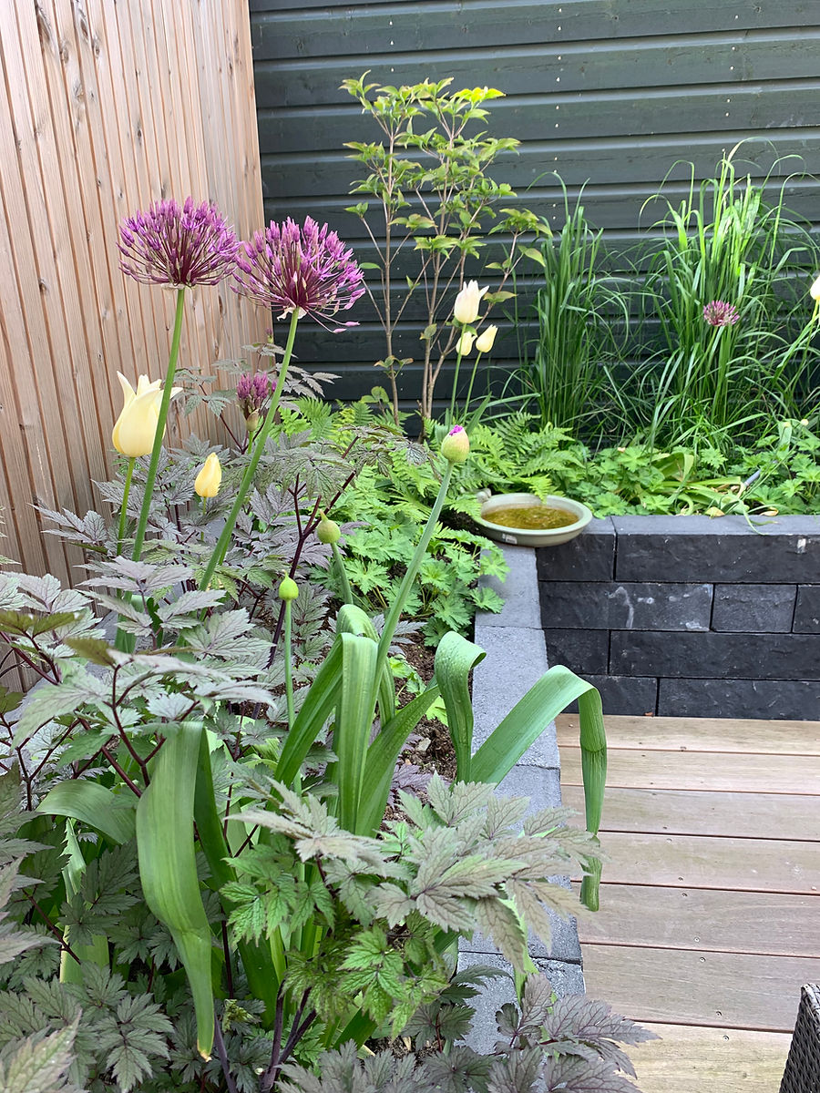 Tuinonderhoud